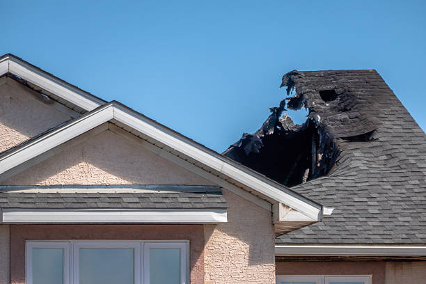 Top rated local Board Up Services specialists in Gainesville, TX